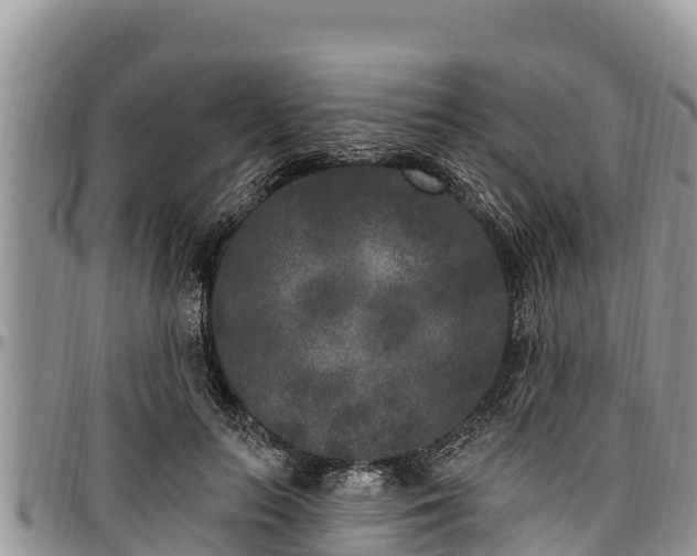 X0000097510647200802291619