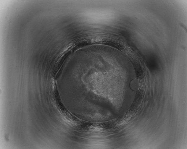 X0000097510648200802291619