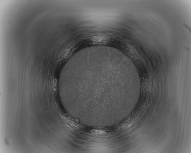 X0000097510649200802291619