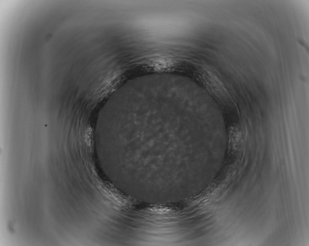 X0000097510650200802291620