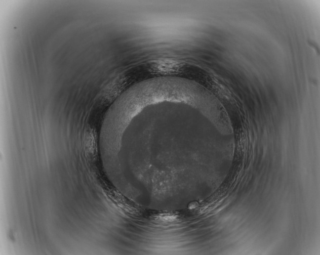 X0000097510651200802291620