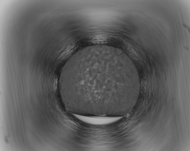 X0000097510652200802291620