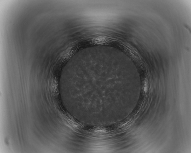 X0000097510653200802291620