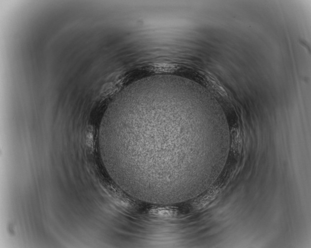 X0000097510655200802291620