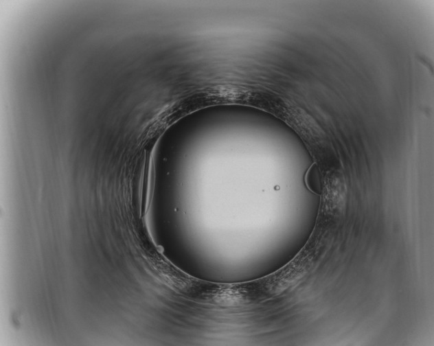 X0000097510656200802291620