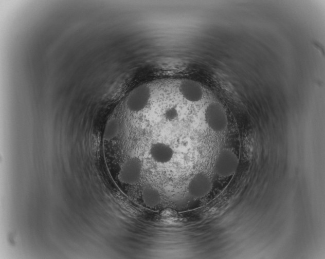 X0000097510657200802291620