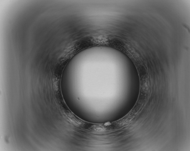 X0000097510658200802291620