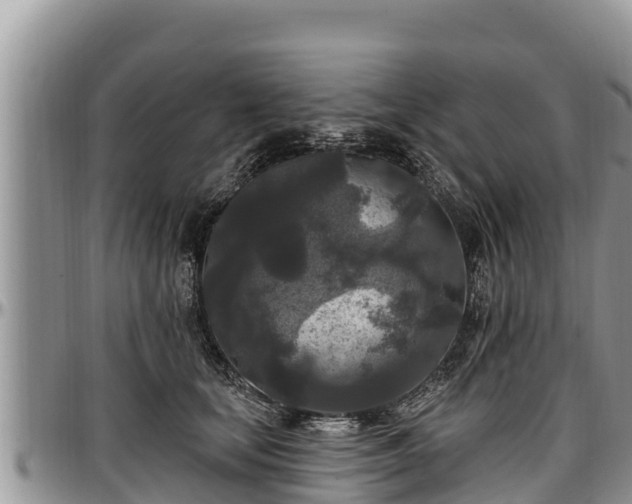 X0000097510659200802291620