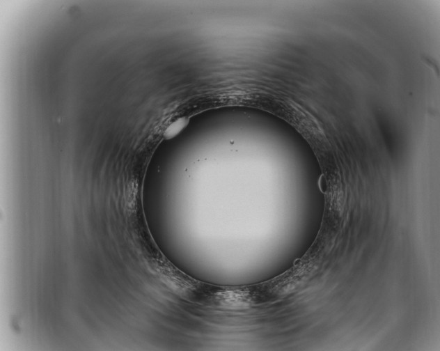 X0000097510660200802291620