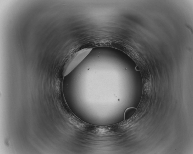 X0000097510662200802291620