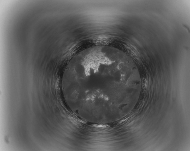 X0000097510663200802291620