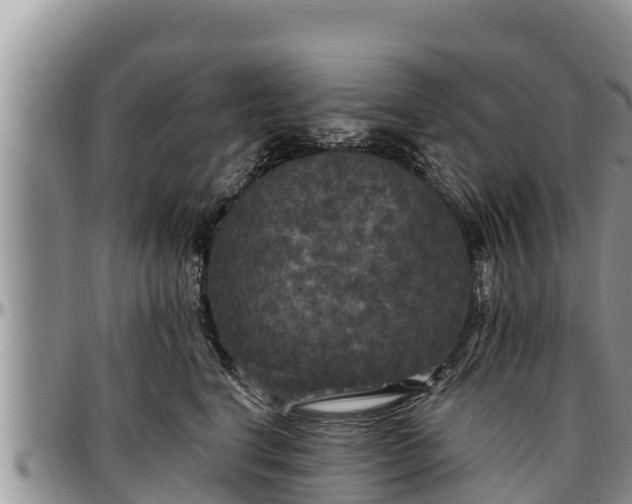 X0000097510664200802291620