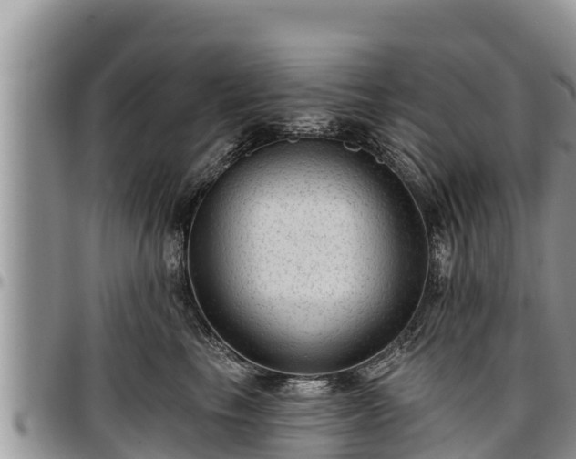 X0000097510665200802291620