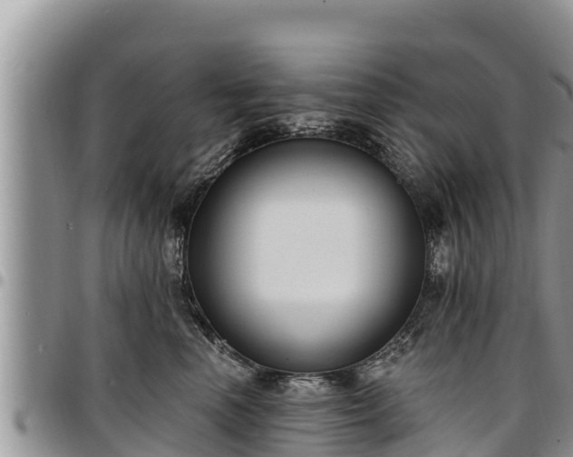 X0000097510666200802291620