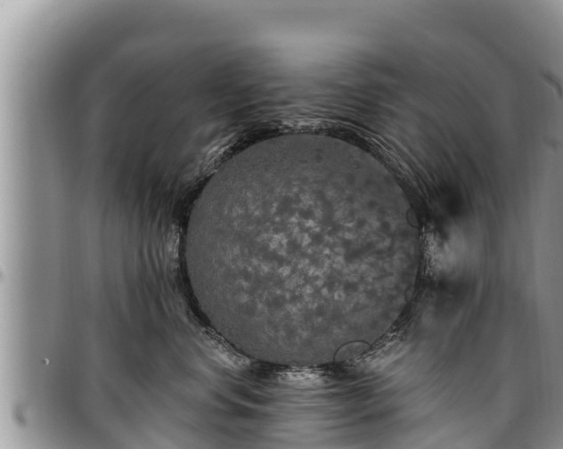 X0000097510668200802291620