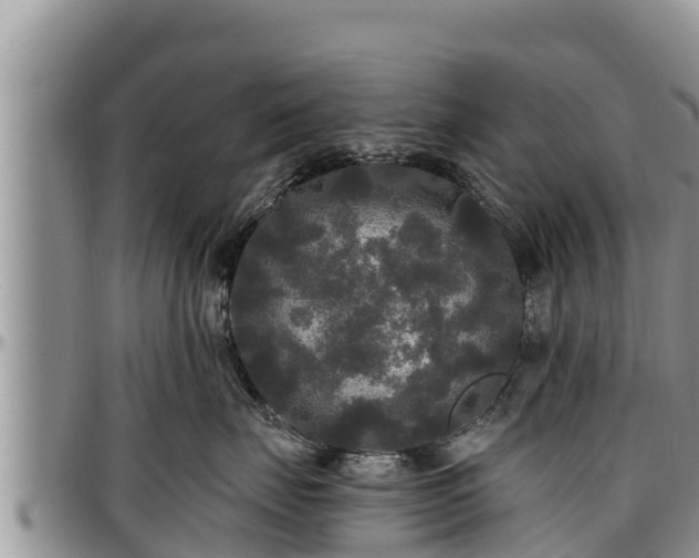 X0000097510671200802291620