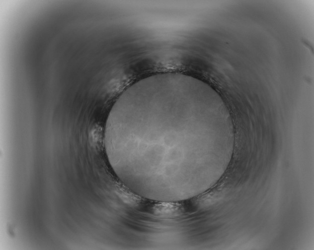 X0000097510672200802291620