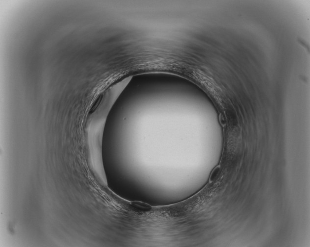 X0000097510673200802291619