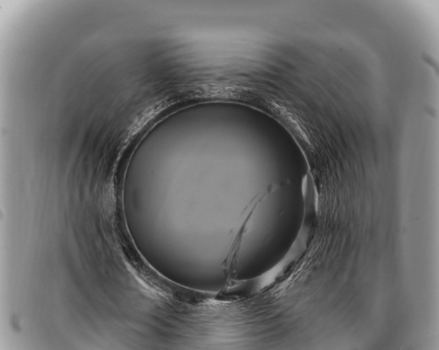 X0000097510674200802291619