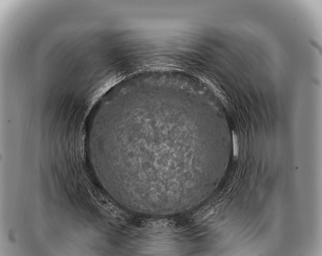 X0000097510675200802291619