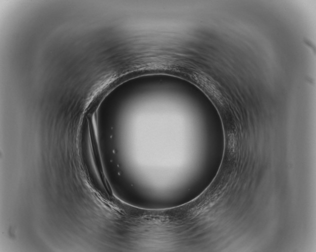 X0000097510676200802291619