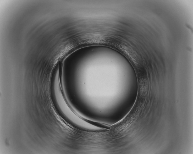 X0000097510677200802291619