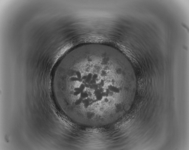 X0000097510679200802291619