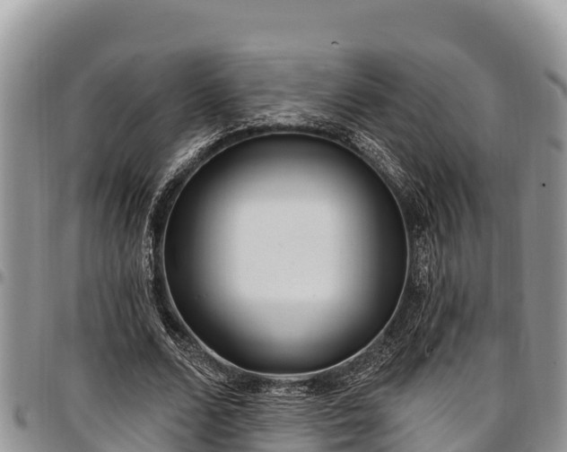 X0000097510680200802291619