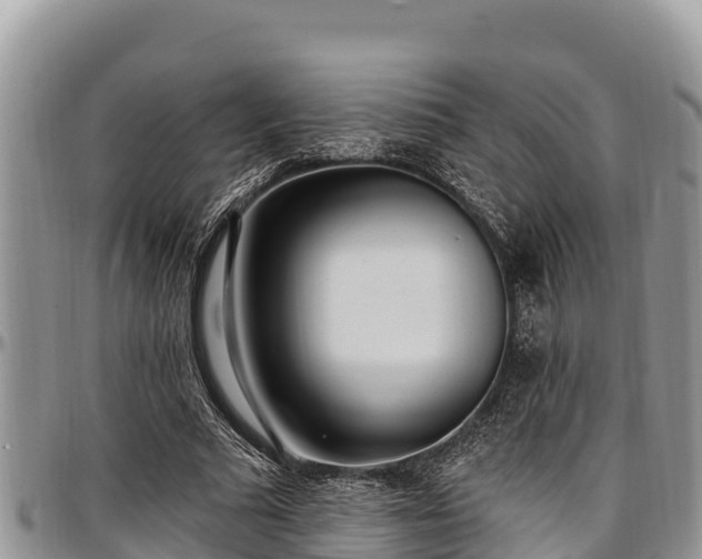 X0000097510681200802291619