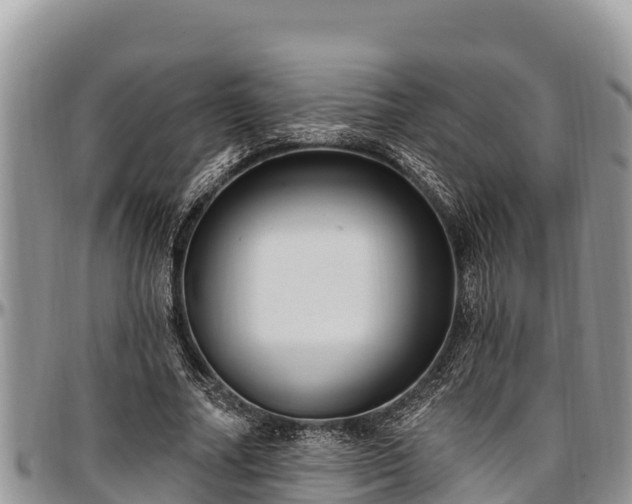 X0000097510682200802291619