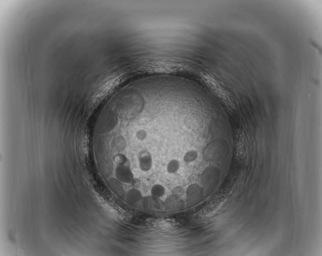 X0000097510683200802291619