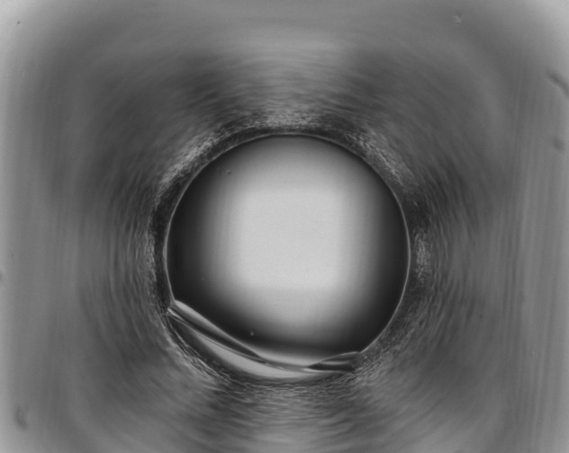 X0000097510684200802291619