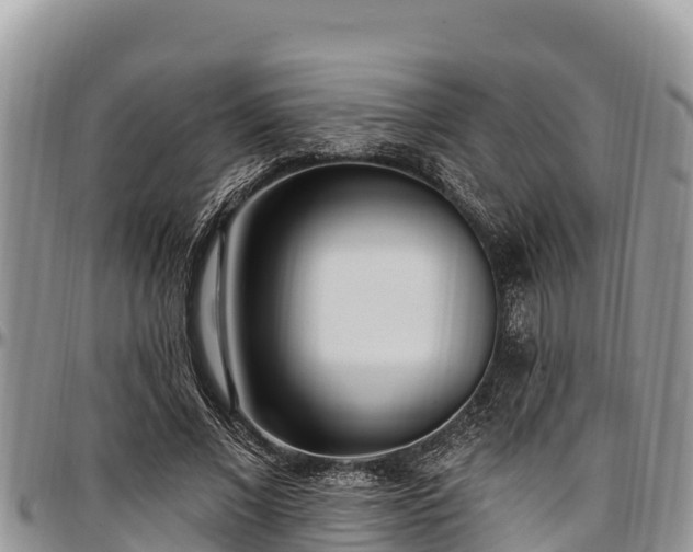 X0000097510685200802291619