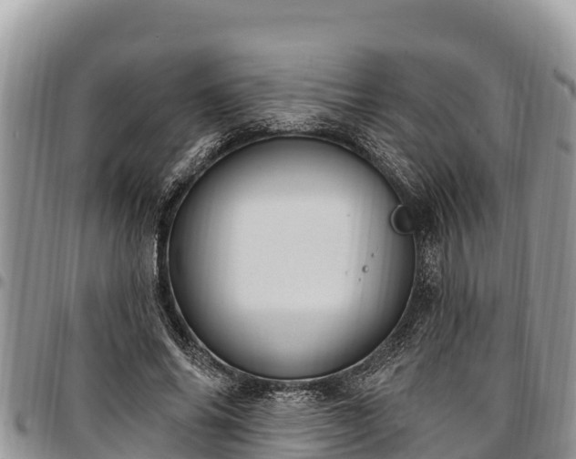 X0000097510686200802291619