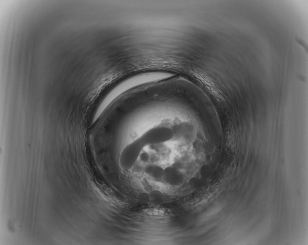 X0000097510687200802291619