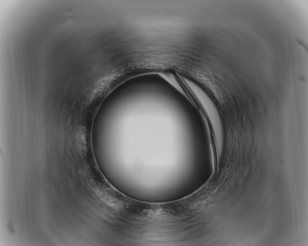 X0000097510688200802291619