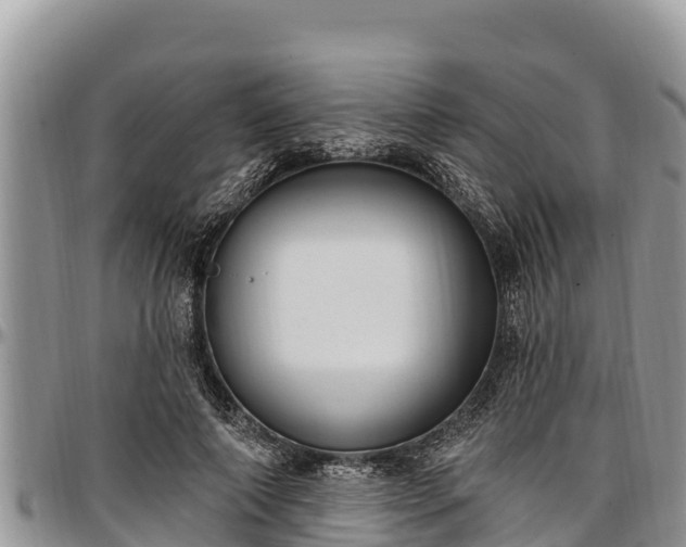 X0000097510690200802291619