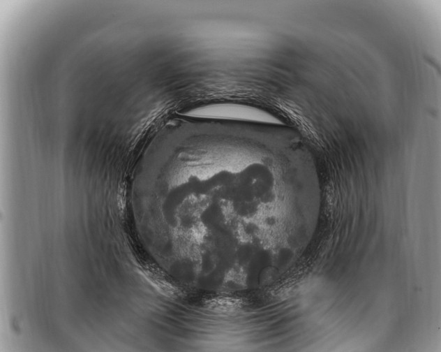 X0000097510691200802291619