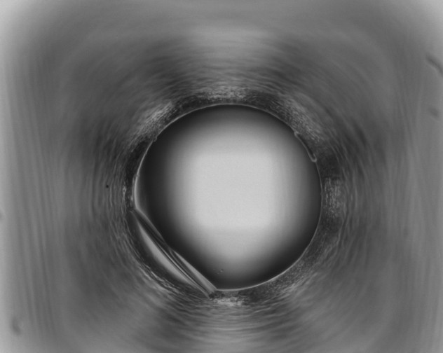 X0000097510692200802291619