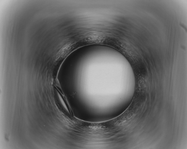 X0000097510693200802291619