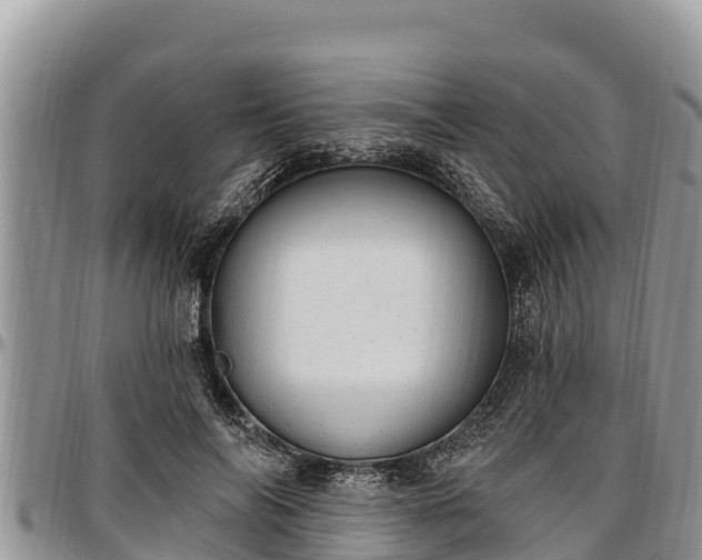 X0000097510694200802291619