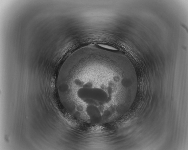 X0000097510695200802291619