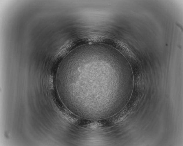 X0000097510696200802291619