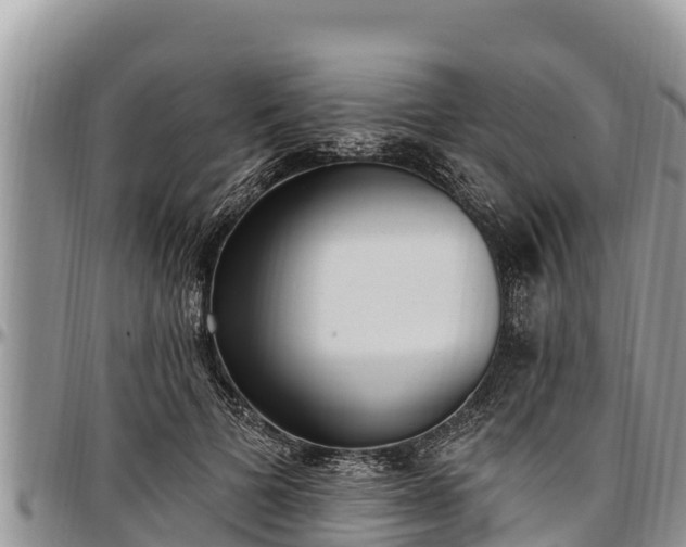 X0000097510697200802291619