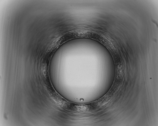 X0000097510698200802291619