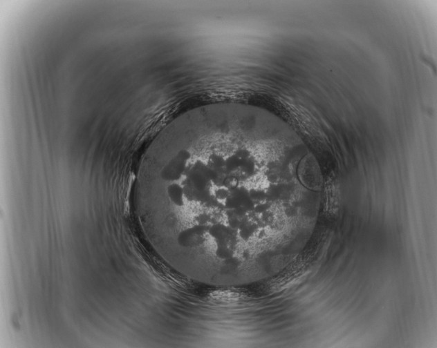 X0000097510699200802291619