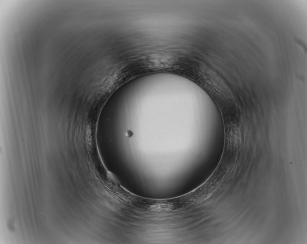 X0000097510700200802291619