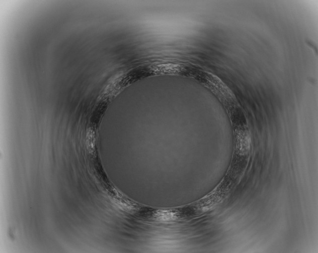 X0000097510701200802291619