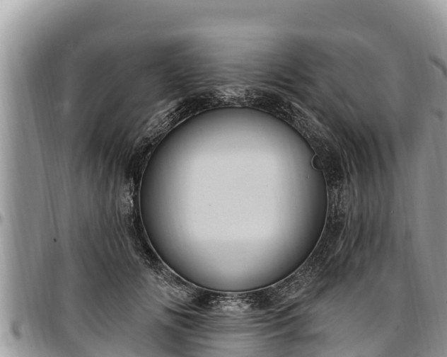 X0000097510702200802291619