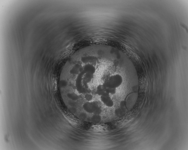 X0000097510703200802291619